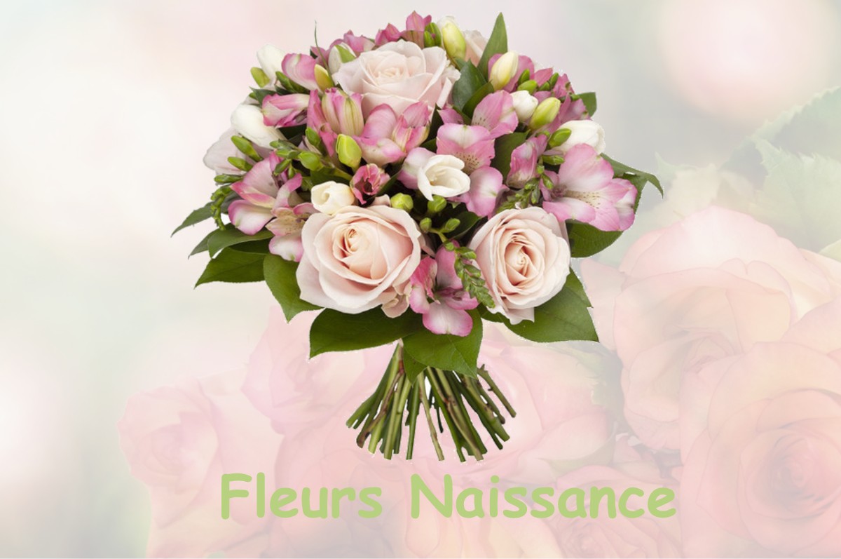 fleurs naissance SAINT-ANDRE-DE-ROQUEPERTUIS